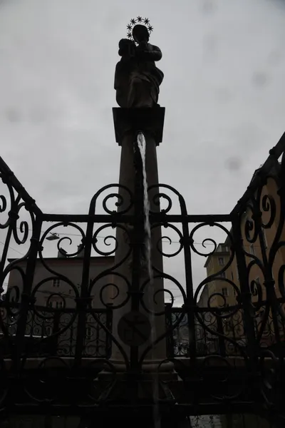 DSC_6173 (Large).JPG